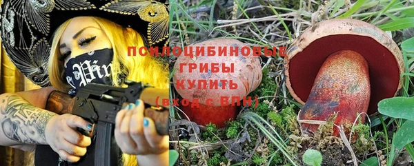 прущий лед Алексин