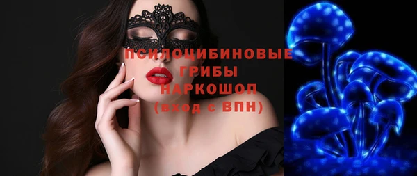 прущий лед Алексин