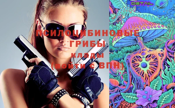 прущий лед Алексин