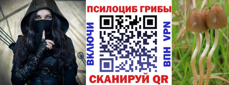 Галлюциногенные грибы Cubensis  как найти закладки  Батайск 